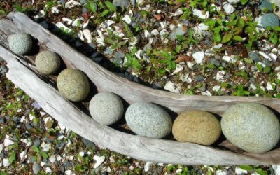 Interconnectedness: a 6-syllable word worth knowing