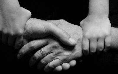 Newsletter – November 2023