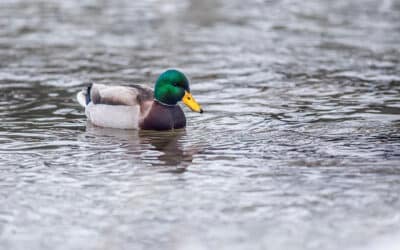 Newsletter – October 2024